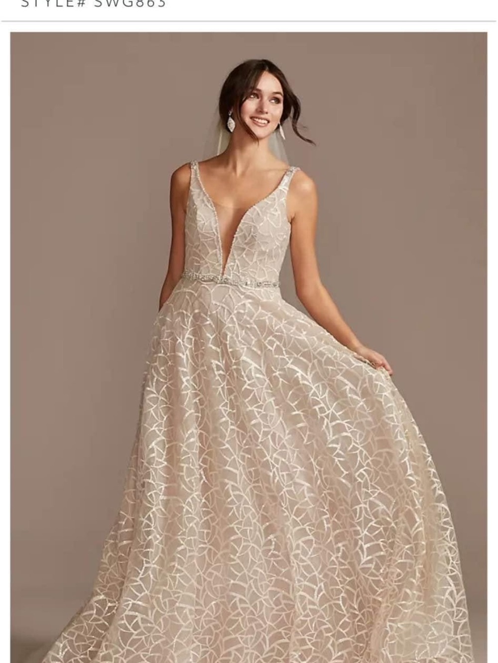 Signature Ivory Blush A-Line Plunge V-Neck Lace Wedding Gown